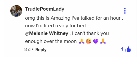 Screenshot of TrudiePoemLady sharing her enthusiasm after an hour talking with Melanie AI.
